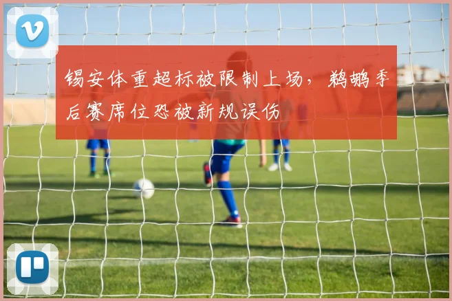 锡安体重超标被限制上场，鹈鹕季后赛席位恐被新规误伤